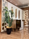 GALLERY_002.jpg